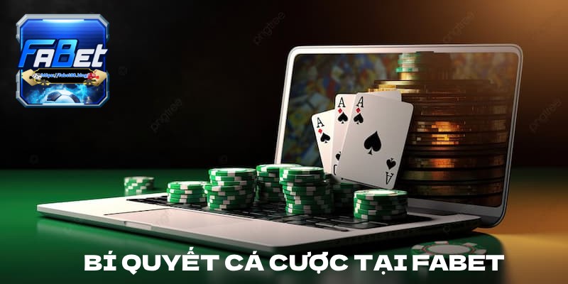 Những bí quyết thành công khi cá cược tại Fabet
