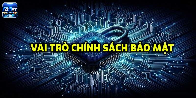 Vai trò của chính sách